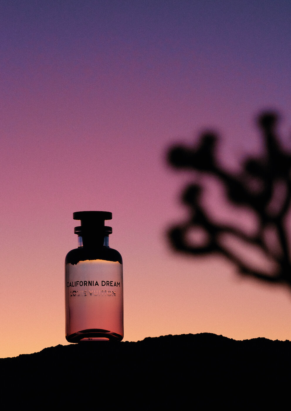 Vuitton is California Dreaming — Dossier Magazine